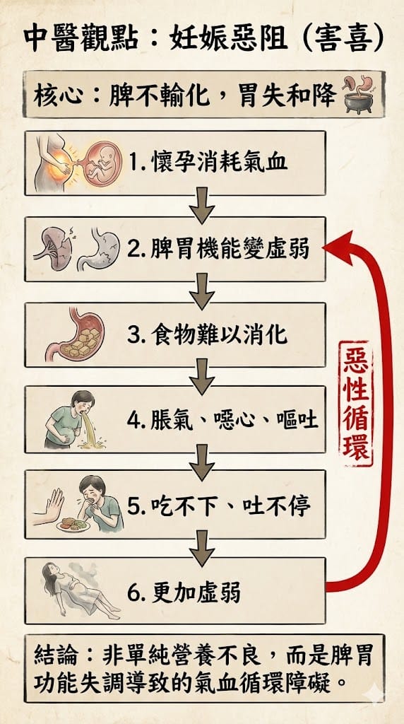 中醫觀點，害喜的惡性循環